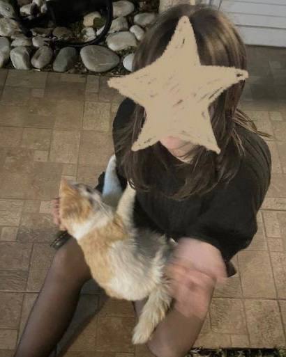 Человек сидит с котёнком на коленях, лицо частично закрыто рисунком‑звездой, домашняя тёплая сцена для уютных снимков и реквизита.