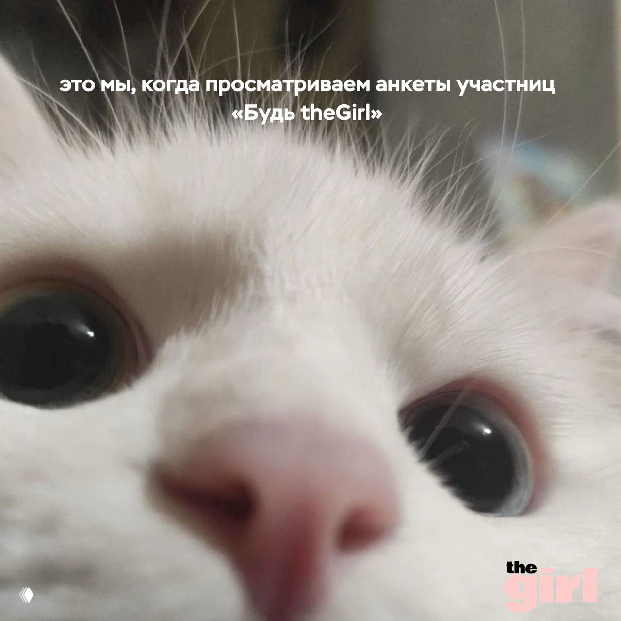 Правила и условия конкурса «Будь theGirl!»