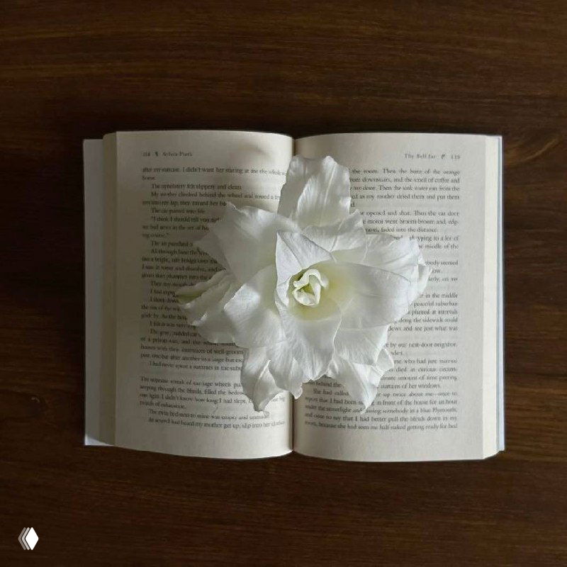 Развернутая книга на деревянном столе, видны строки печатного текста и перелистывающиеся страницы — уютный натюрморт для чтения и вдохновения.