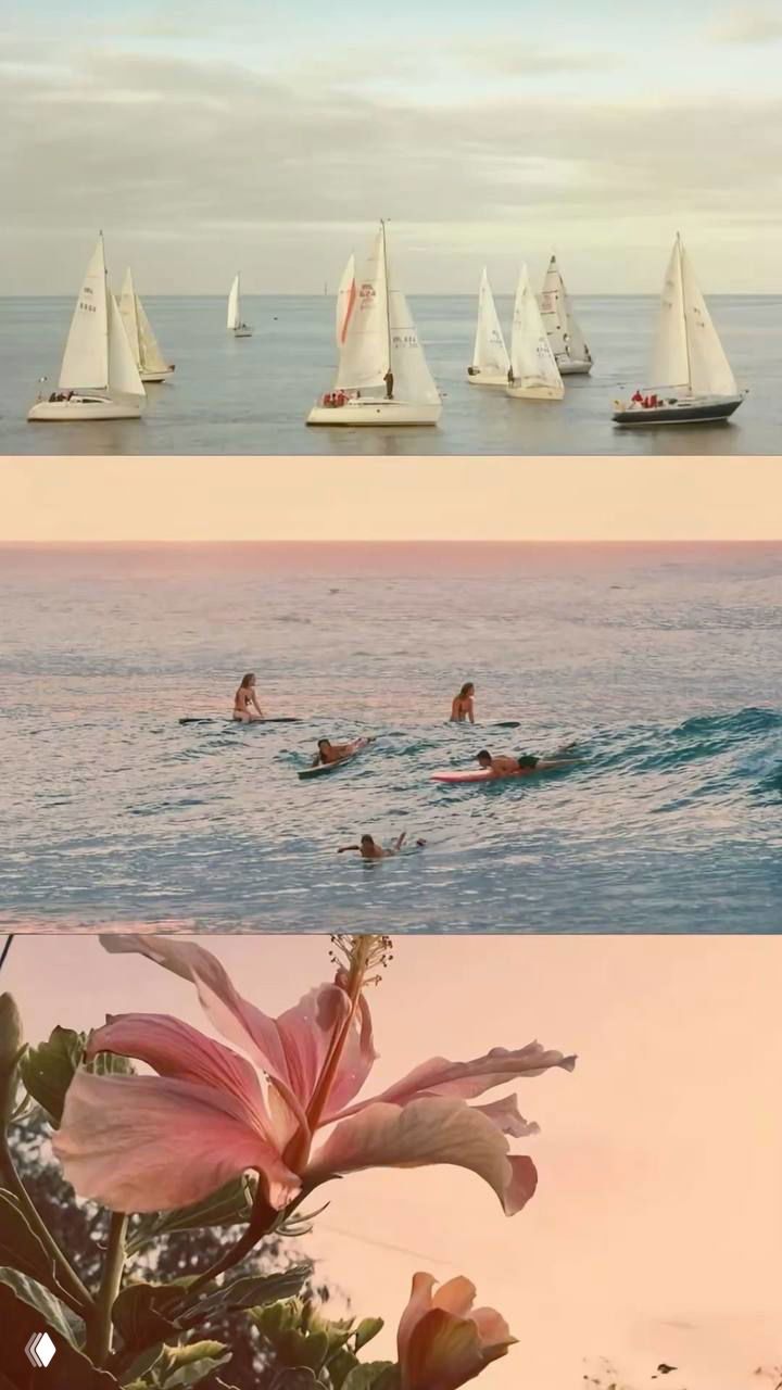 Нежные обои для телефона на весну