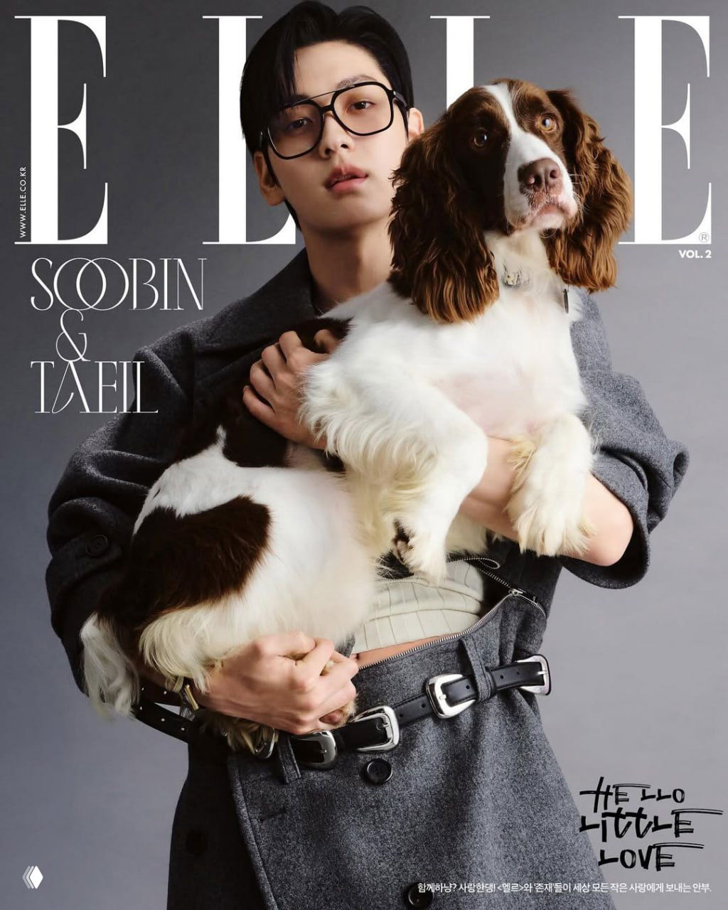 ELLE Korea: звезды на обложках с питомцами