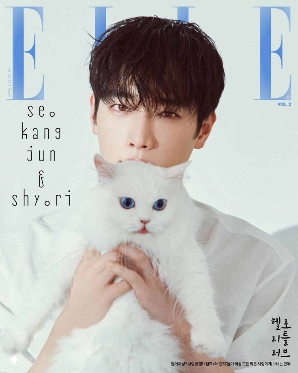 Обложка ELLE Korea: артист держит пушистого белого кота с голубыми глазами; минималистичная светлая студийная подача снимка.