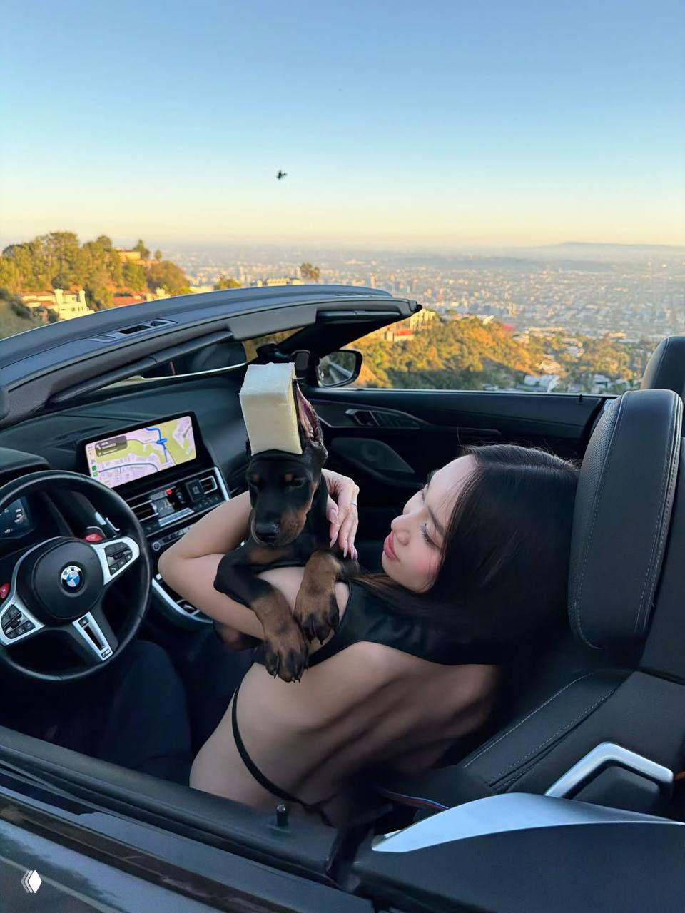 Чана завела щенка добермана