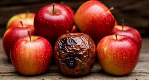 Что бы вы сделали, если муж принёс гнилые яблоки?