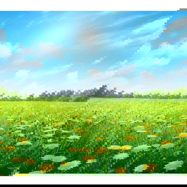 Когда всё пошло не по плану — 10 минут для опоры и ясности