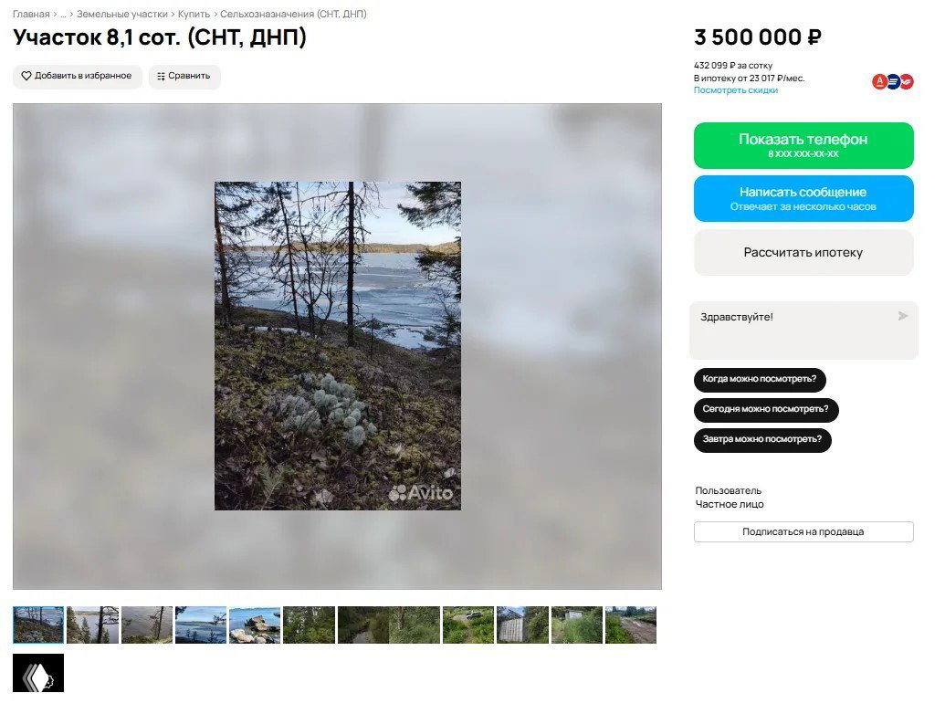 Фото участка у воды в поселении Хаапалампи: деревья на берегу, мох и кустарник на переднем плане, вид на замёрзший водоём