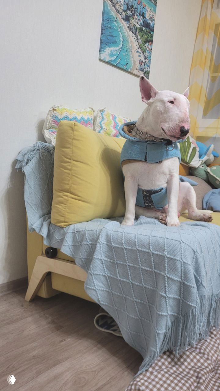 Запись эфира о продажах и привлечении подписчиков