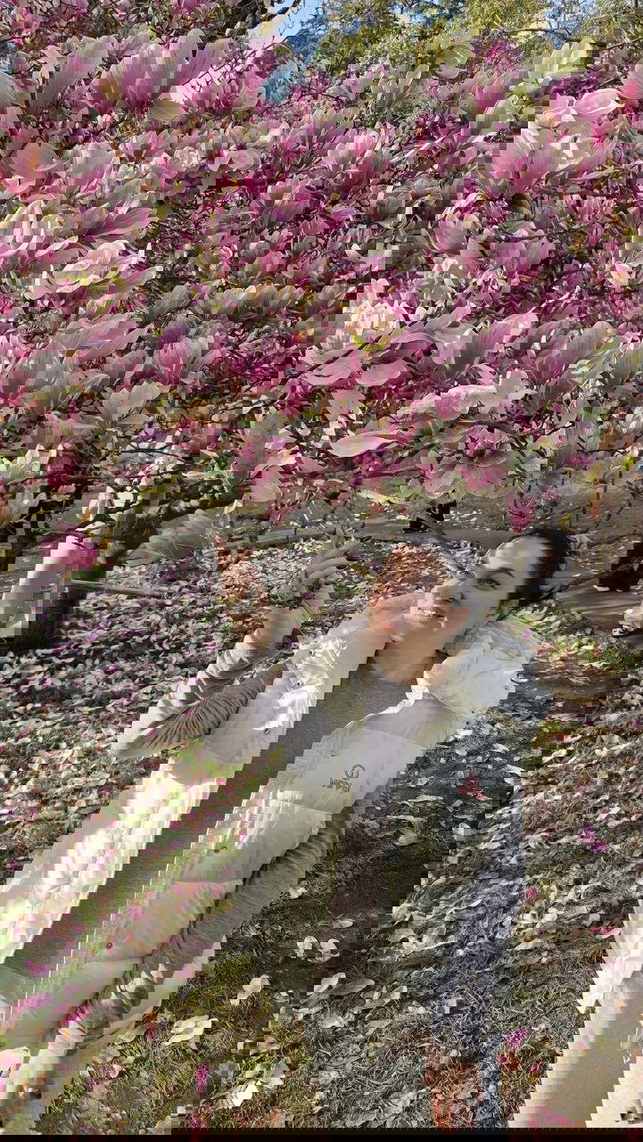 Дерево магнолии суланжа в полном цвету; под ним автор фотографируется, вокруг видны лепестки на траве и дорожке весеннего парка.