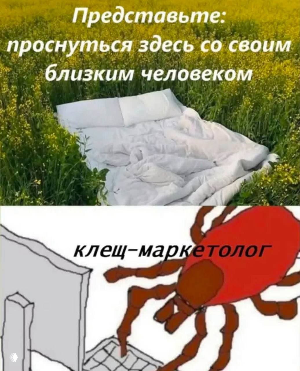 Клещ знает, а ты — нет: маркетинг через образ