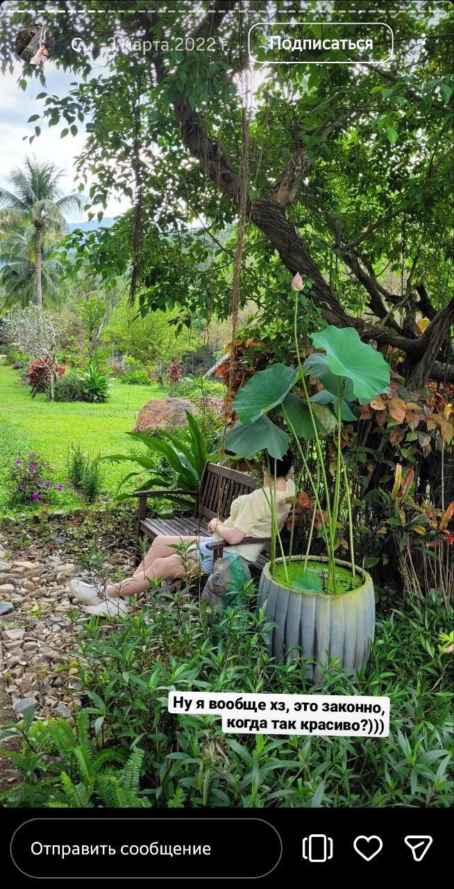Уютная скамейка под большим деревом в тропическом саду резорта, рядом крупные листья лотоса в горшке и живописные цветы — тихий уголок отдыха.