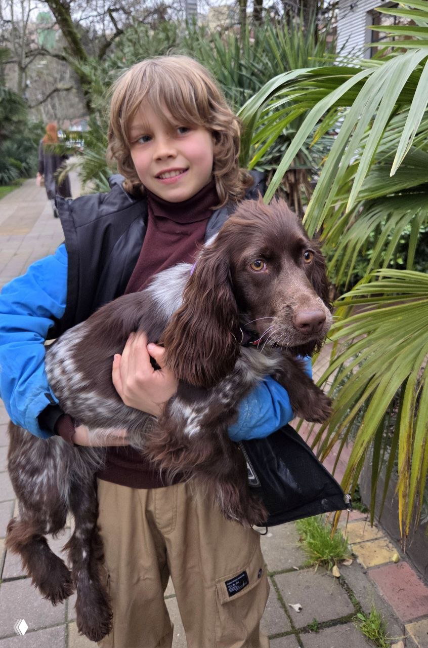 Ребёнок держит коричневого спаниеля на фоне пальм и прогулочной зоны; тёплая городская сцена с растительностью и мягким светом.