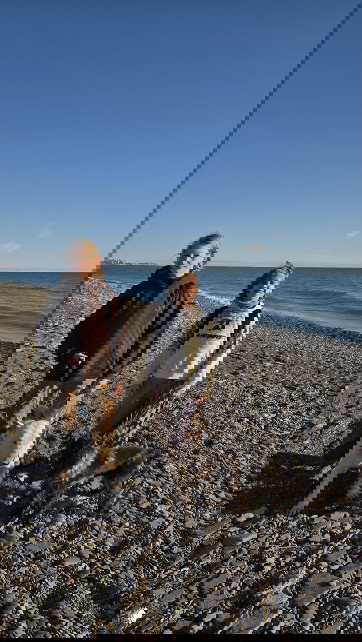 Двое мальчиков на галечном пляже с двумя собаками на поводках у моря; ясный день, спокойная вода и прогулочная атмосфера у побережья.