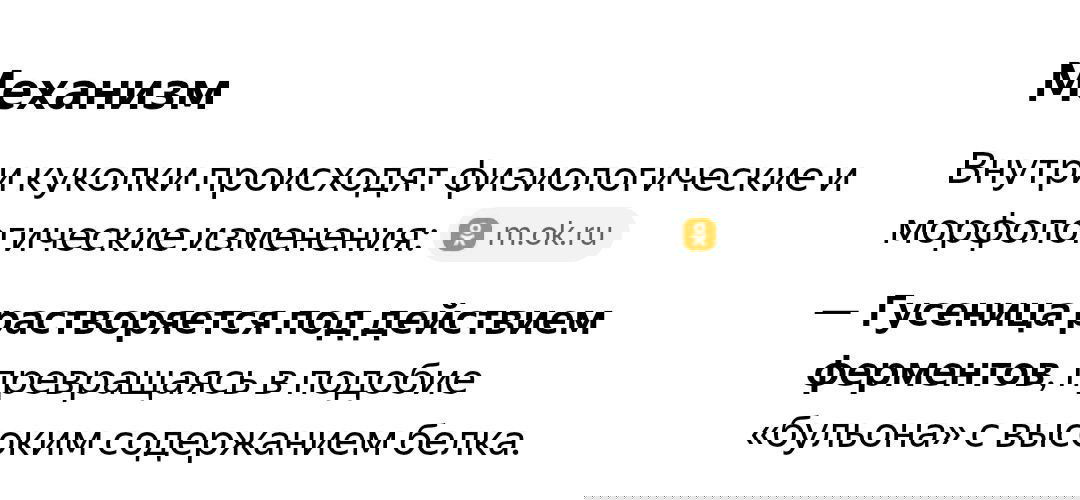 Бабочки рождаются из бульона 😱