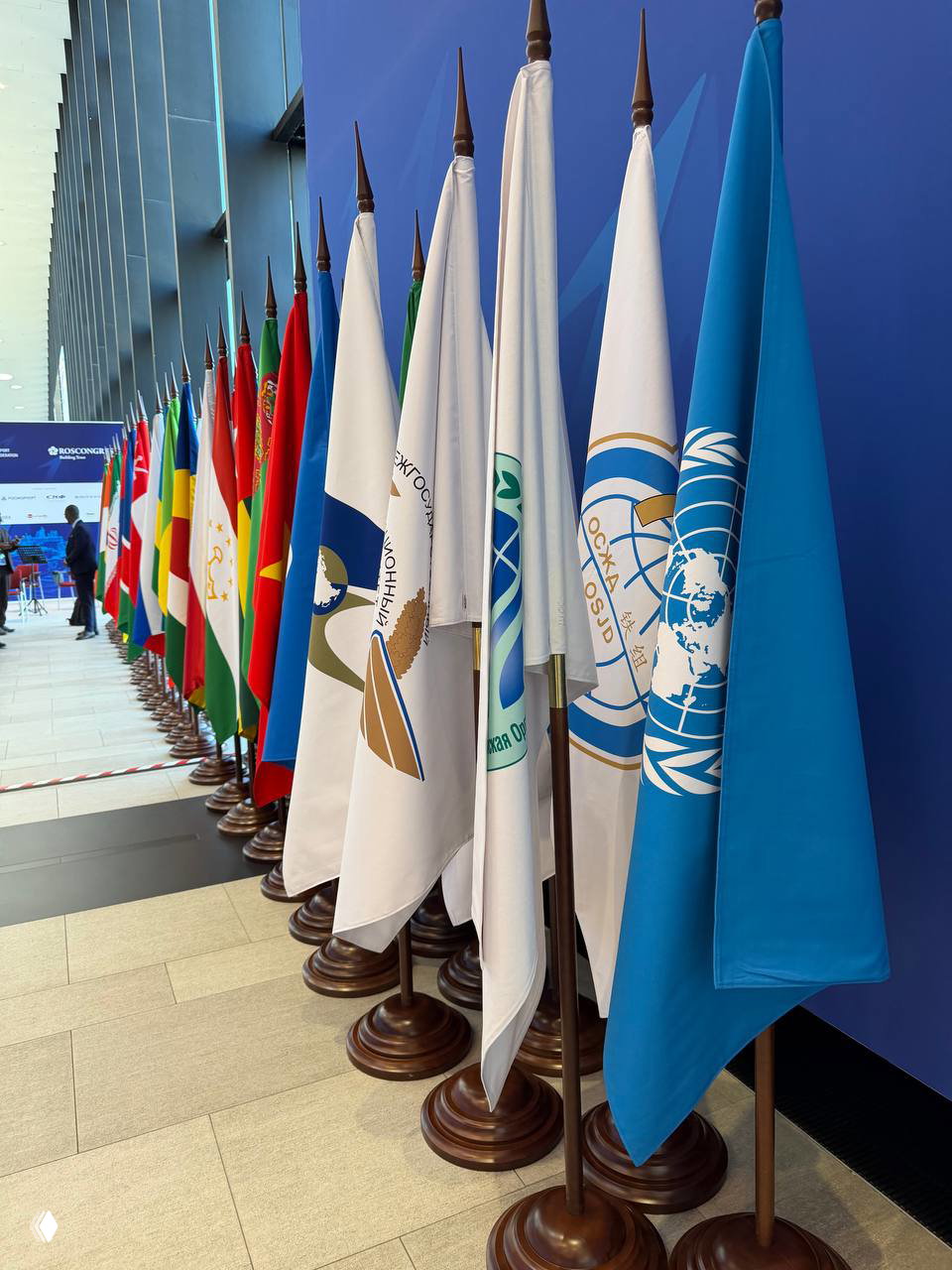 Ряд флагов разных государств и международных организаций, выровненных в коридоре форума на деревянных подставках на фоне синей выставочной стены.