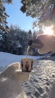 Рука в перчатке наливает горячий напиток в фарфоровую чашку на снегу, на фоне зимнего леса, падают снежинки и светит солнце.