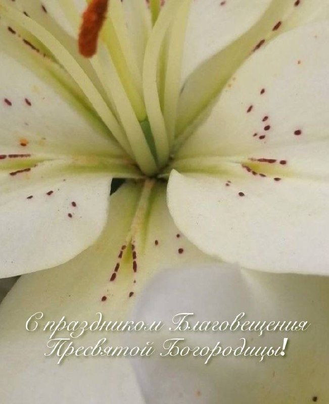 С Праздником Благовещения Пресвятой Богородицы