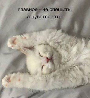 Когда внутренний монолог громче жизни