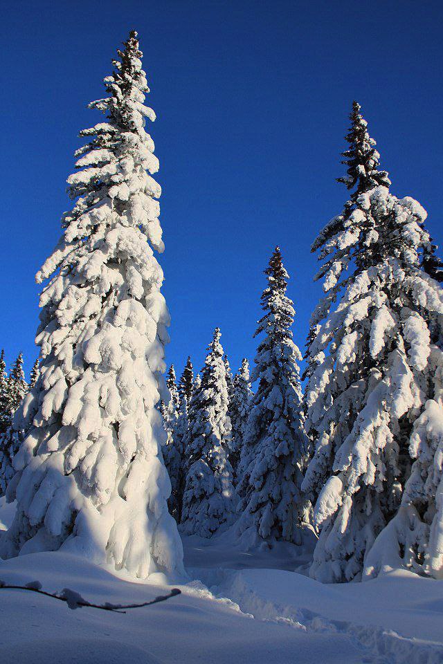 Горный пейзаж с заснеженным пригорком и ярким солнцем на голом небе; вид на долину и дальние холмы в ясный зимний день в Зюраткуле.