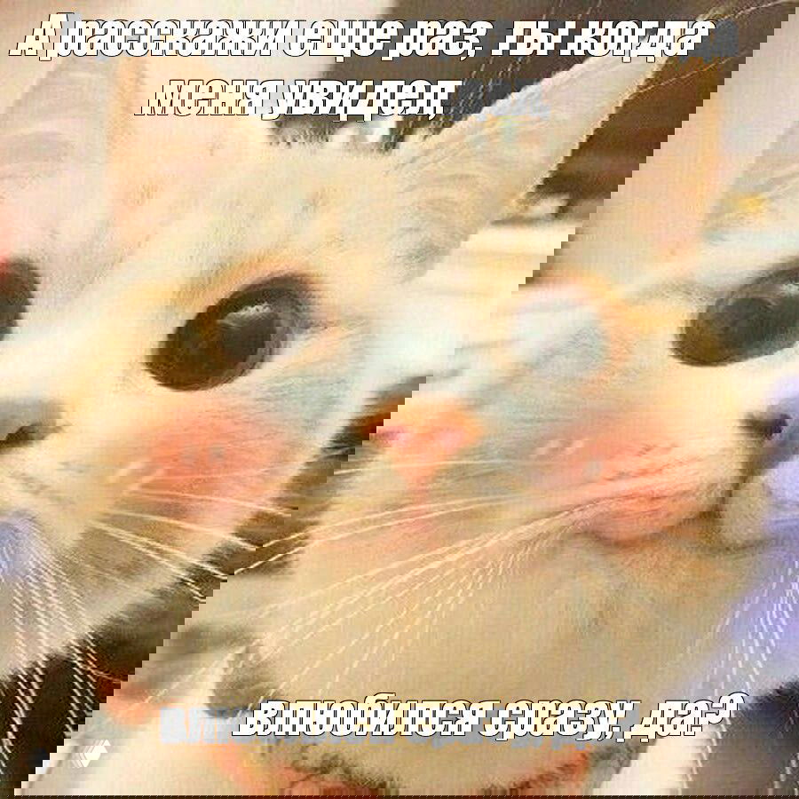 ЭТО ЛЮБОВЬ С ПЕРВОГО ВЗГЛЯДА?