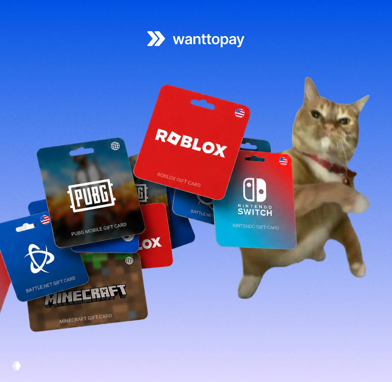 Динамичный кадр: плавающие подарочные карты (Roblox, PUBG, Nintendo, Minecraft, Battle.net) и изображение кота, создающее атмосферу мемного анонса.