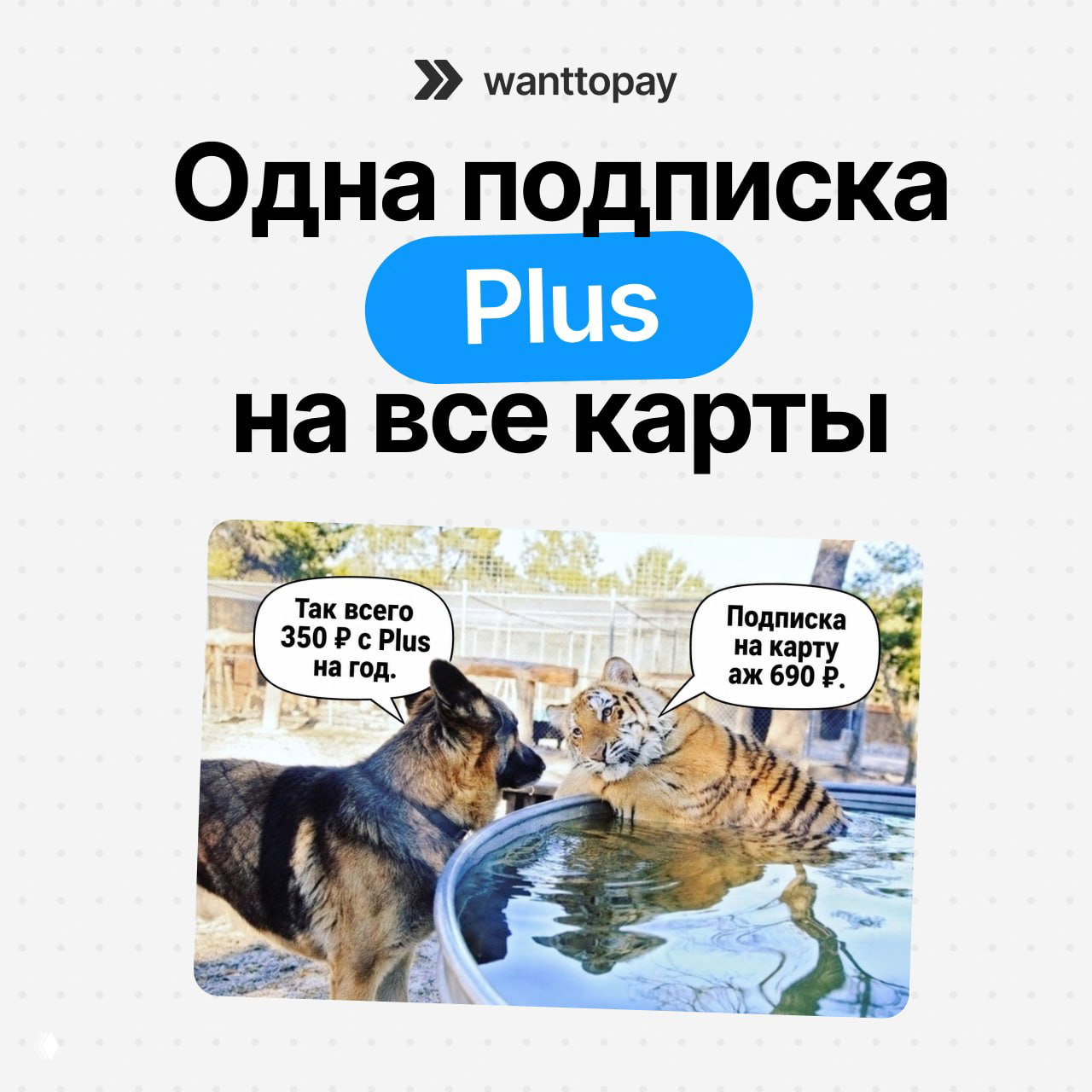 Что вы получаете с подпиской Plus?