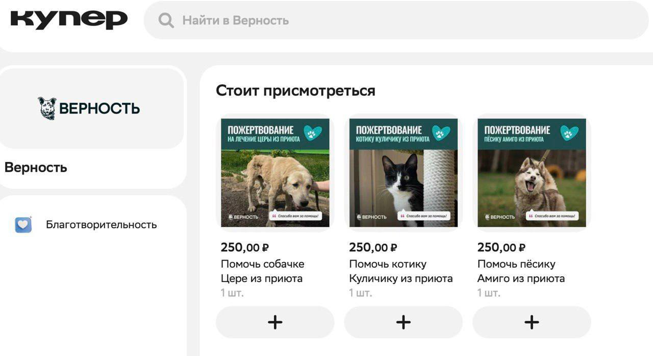 Купер и фонд «Верность»: помогать животным стало проще!