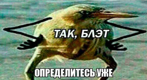 Мем с птицей и подписью «ТАК, БЛЯТ, ОПРЕДЕЛИТЕСЬ УЖЕ» — иллюстрация реакции на разблокировку домена t.me и восстановление ссылок.