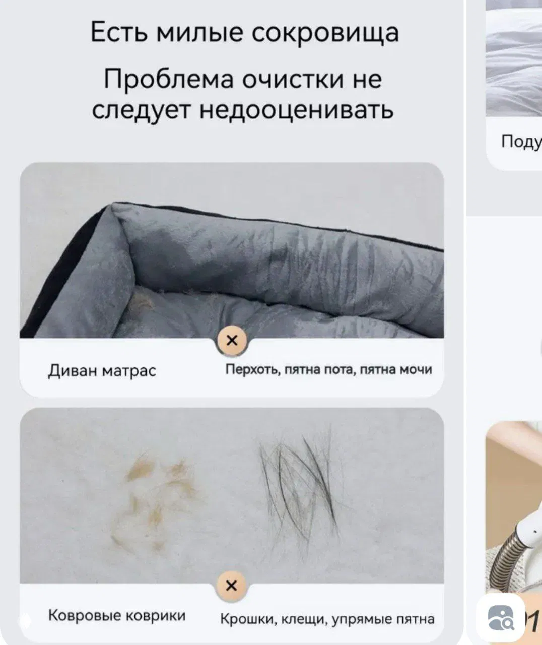 Серия снимков проблем чистки домашних изделий: диван-матрас, коврики с волосами и пятнами — примеры, которые показывают реальные болевые точки покупателей.