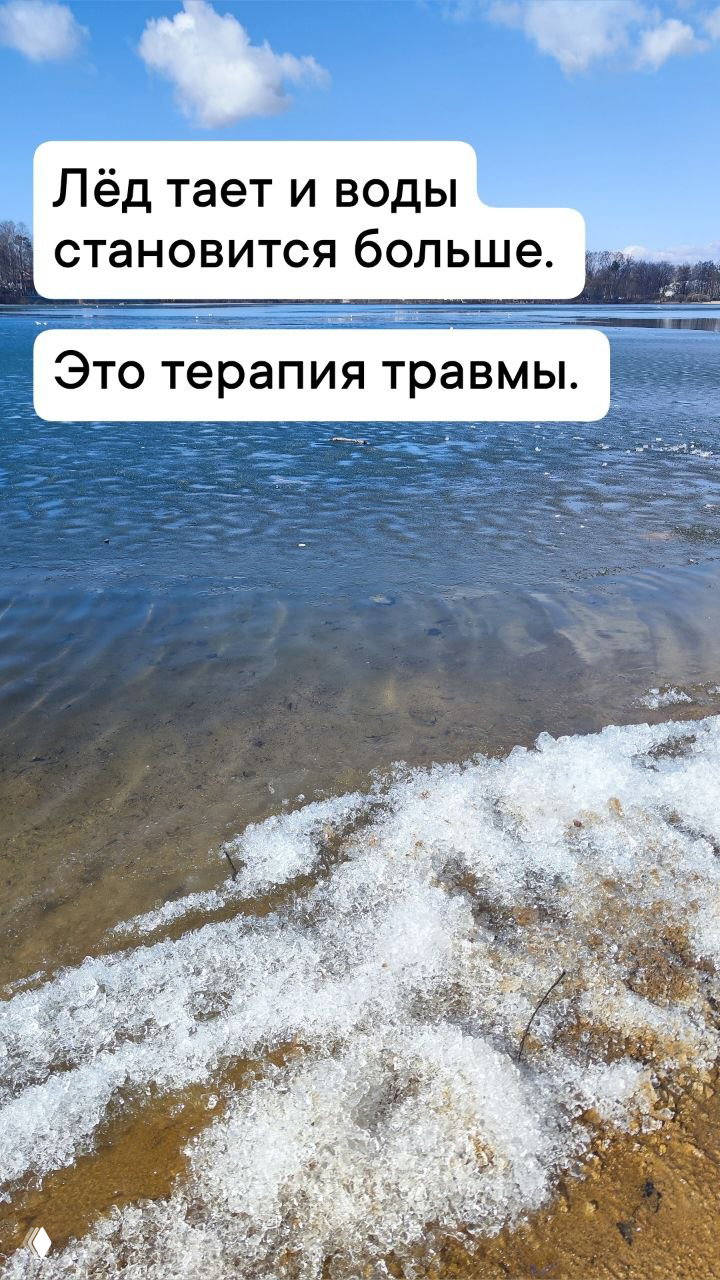 Онлайн, очно и выезд — введение в биодинамику