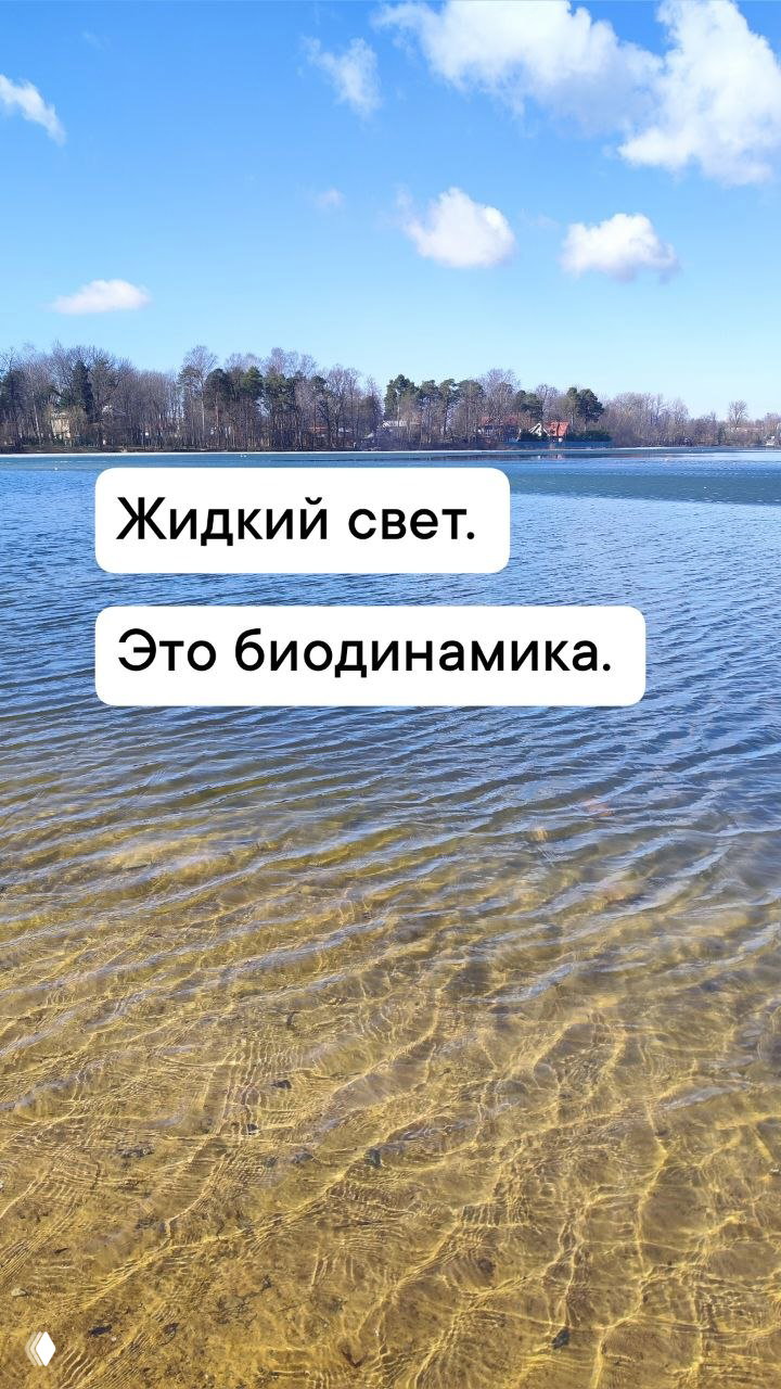 Песчаное мелководье и спокойная вода озера при ясном небе; видна рябь на поверхности и подпись «Жидкий свет. Это биодинамика.»