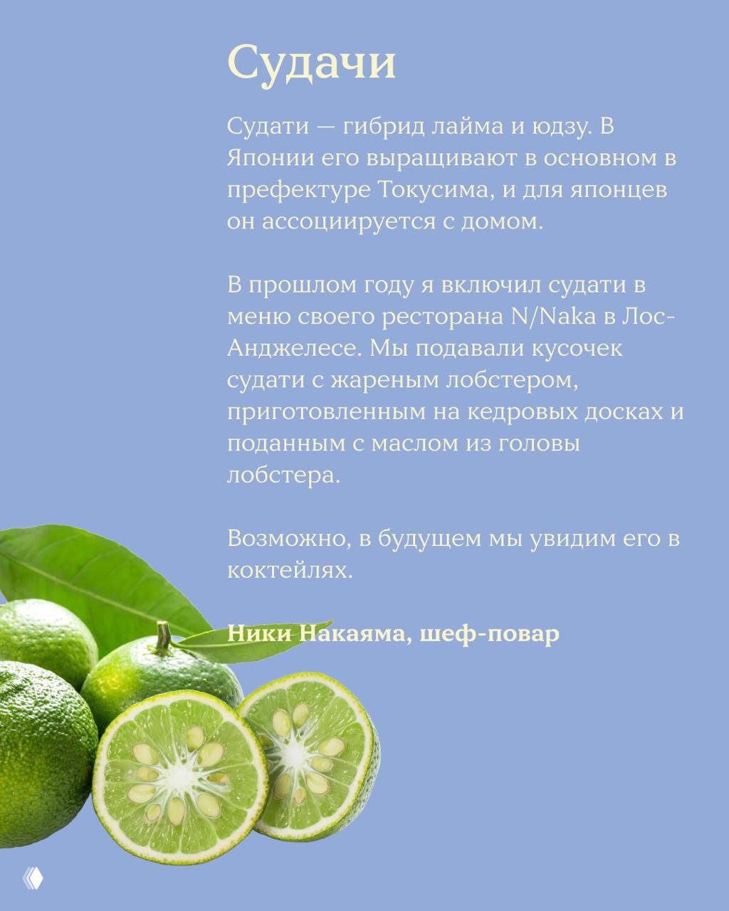 Зелёные цитрусы (судачи) на синем фоне, разрезанные и цельные — иллюстрация потенциального использования в напитках и гастрономии.