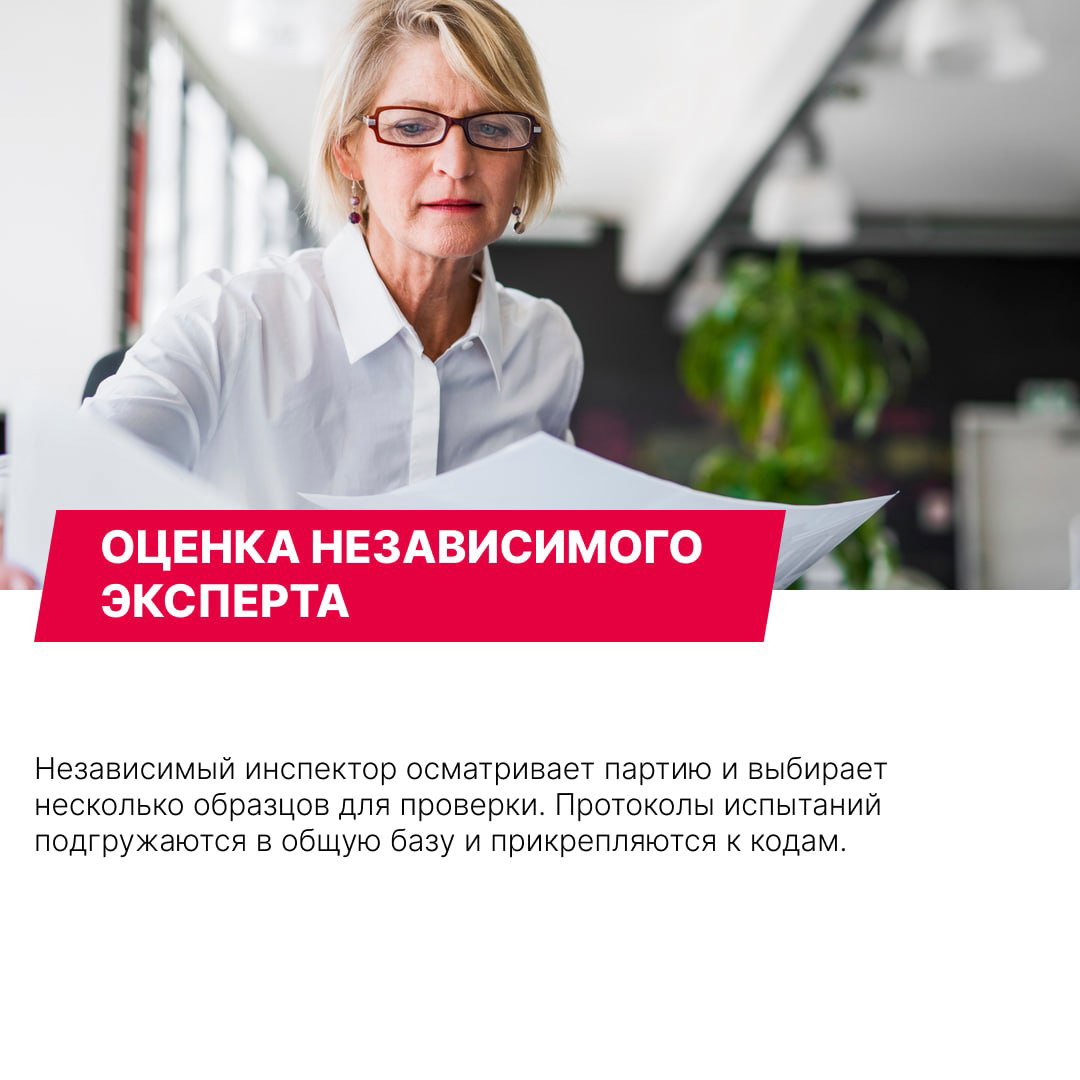 Независимый эксперт в очках изучает документы и образцы в офисе, отбор проб для проверки и загрузка протоколов испытаний в общую базу кодов.