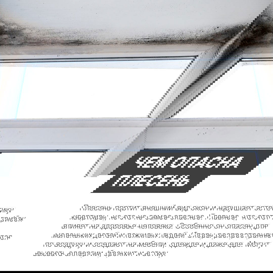 Широкий план окна с видимыми тёмными пятнами плесени по периметру рамы и откосов, пример повреждения отделки в помещении.