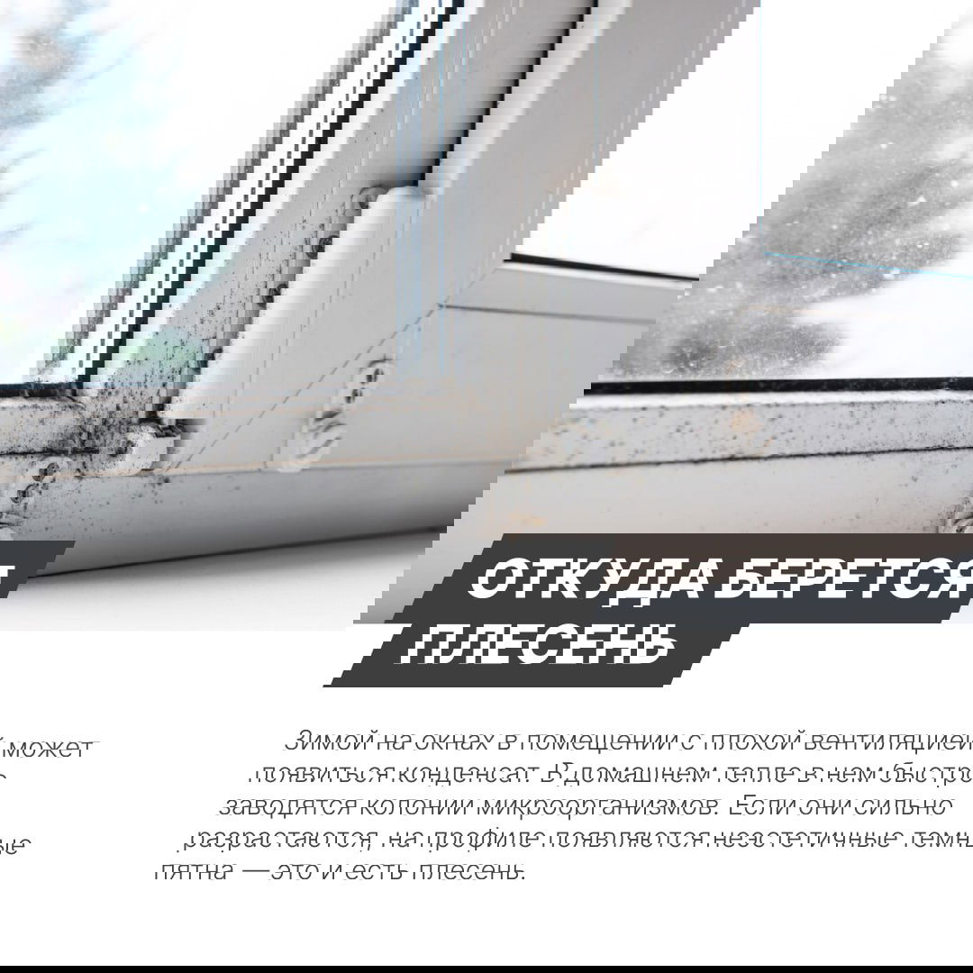 Плесень в углу рамы и на фурнитуре окна: чёрные точки и загрязнения на белой пластиковой створке при дневном свете.