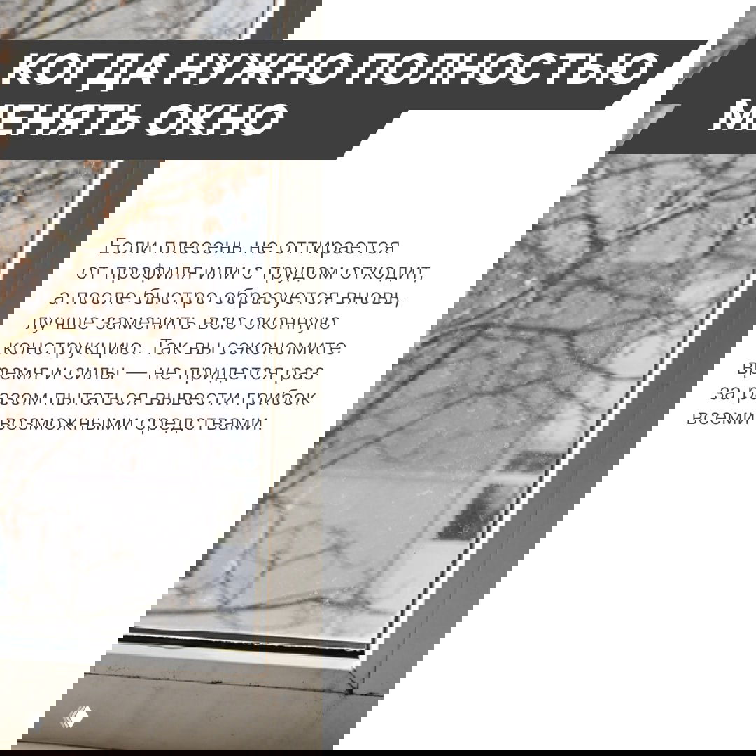 Боковой ракурс окна с чёрной плесенью на откосе и раме, видны следы распространения грибка и потертости отделки в интерьере.