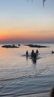 Вертикальное фото заката на Самуи: всадник и группа лошадей в мелкой прибрежной воде, тёплые оранжево-розовые тона неба и отражения на море.
