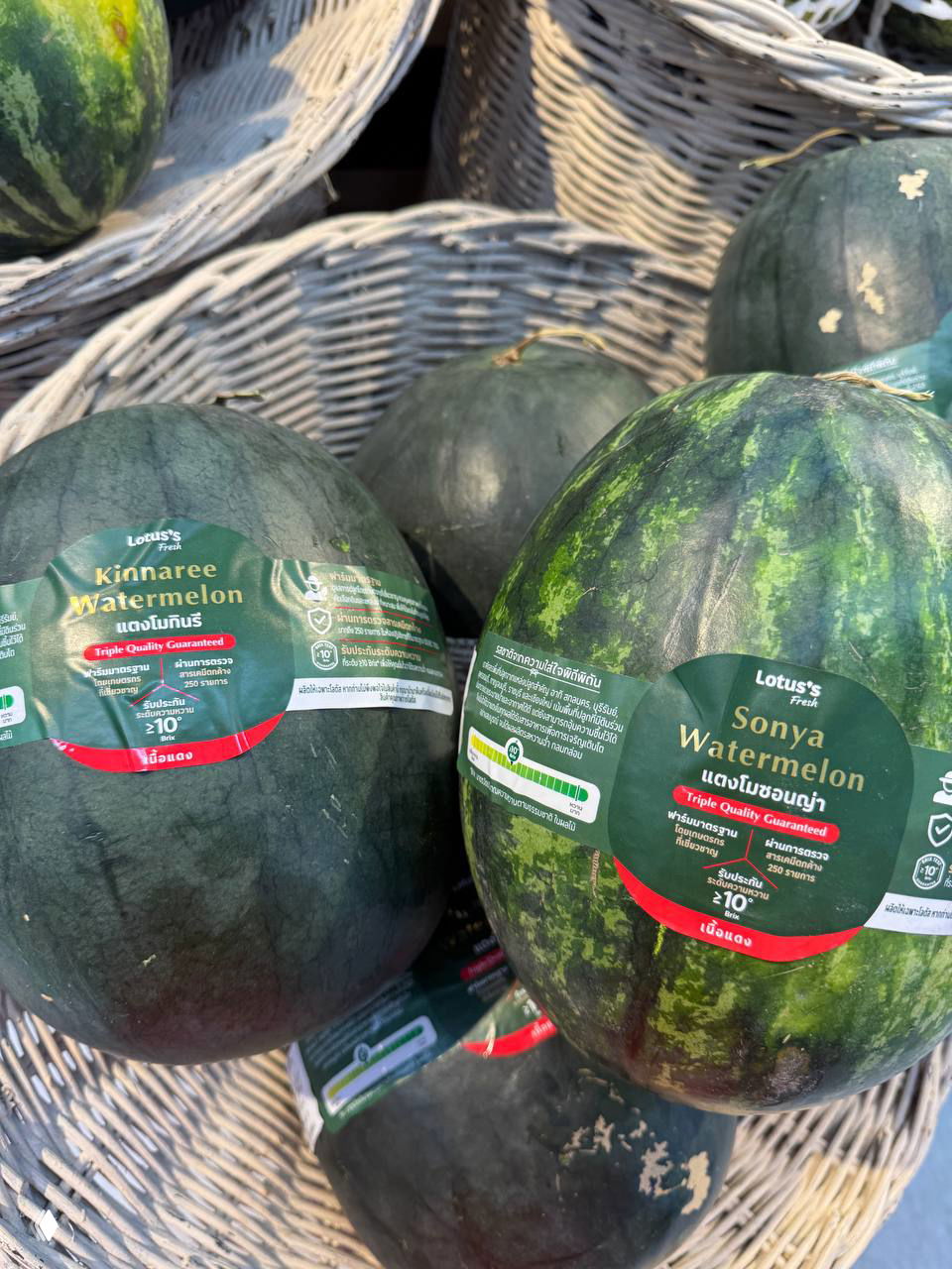 Дегустация арбузов — бессонная ночь