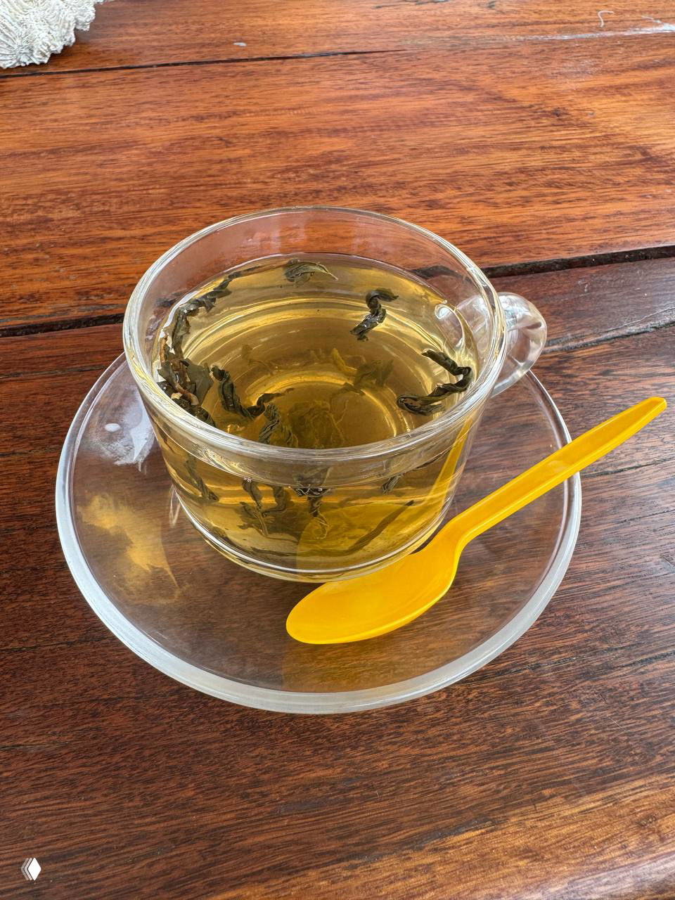 Crave at Montra в Ламае — первые впечатления