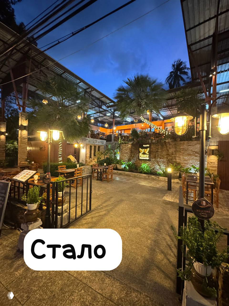 Вечерняя площадка NOREE: огоньки, деревянные столы, открытая зона с растениями и уютной тёплой подсветкой над столиками.