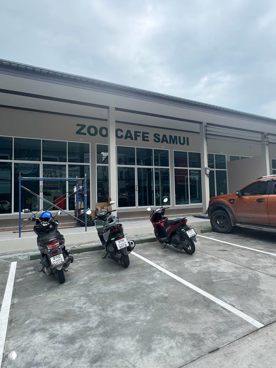 Zoo Cafe откроется 17 марта