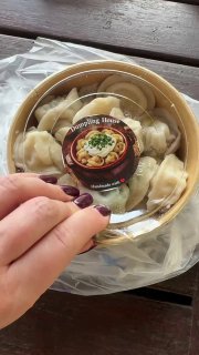 Прозрачный круглый контейнер с приблизительно двадцатью пельменями, сверху наклейка Dumpling House; видны пальцы автора и полиэтиленовый пакет.