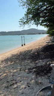 Песчаный пляж в Банграке с прибрежными деревьями, качелями у воды и видом на спокойное море в ясный день.