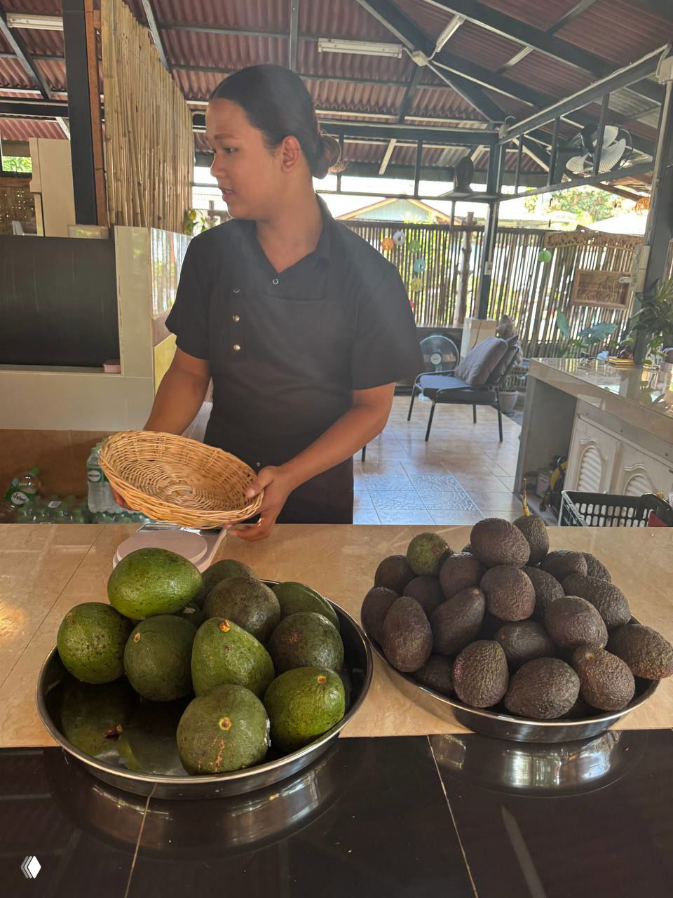 Излишки авокадо у хозяйки Cool Cafe (Ламай)