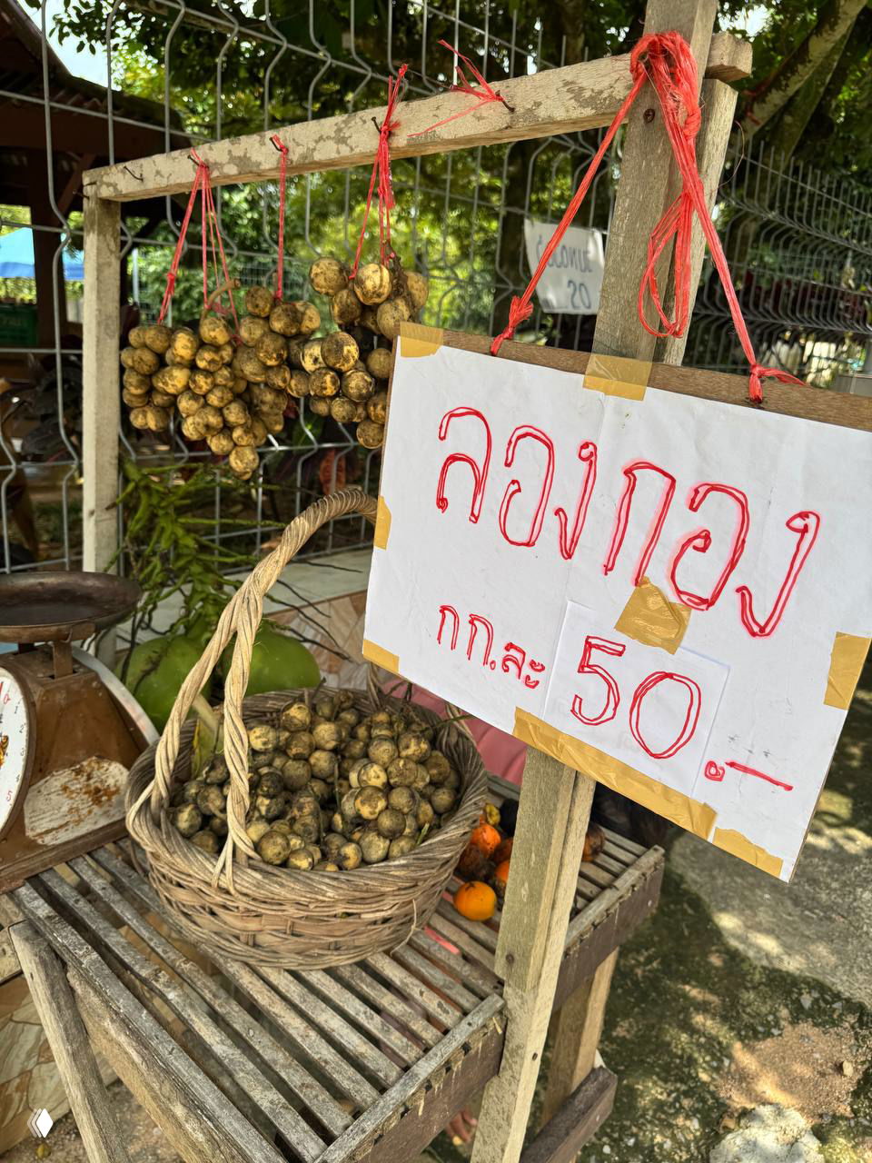 Крупный план местной торговли: связки лонгана, корзина фруктов и вывеска с ценой 50 бат — сцена уличной точки на Самуи.