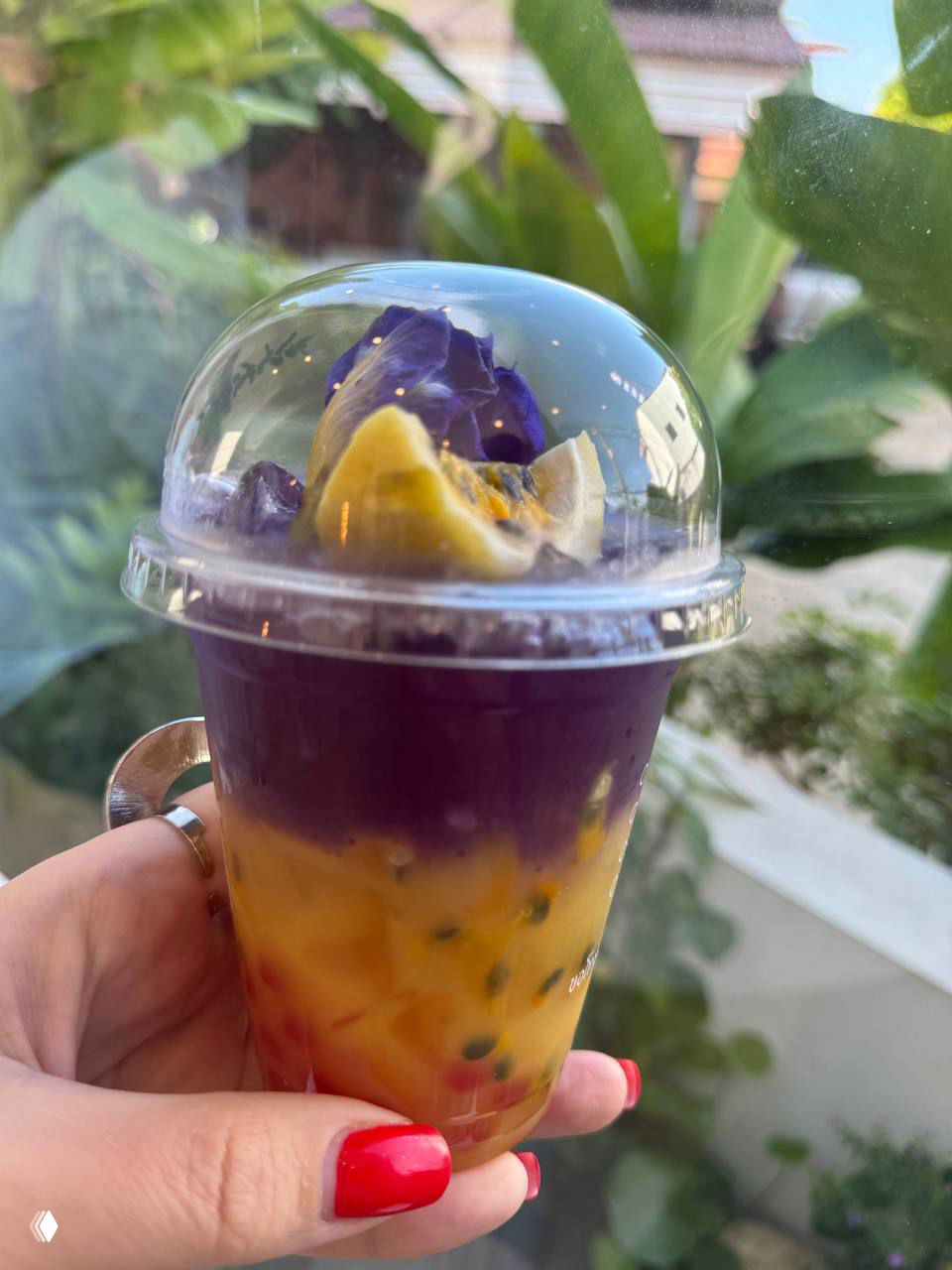 Яркий слойный напиток с фиолетовым и жёлтым слоями, украшен долькой лимона и съедобным цветком под купольной крышкой, на фоне зелени.