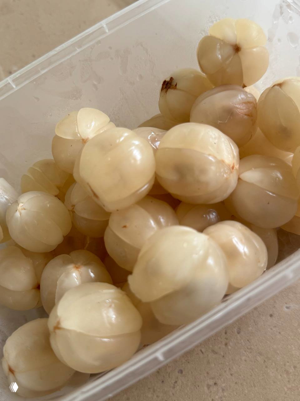 Крупный план очищенных белых плодов лангсата в пластиковой коробочке — сочная мякоть тропического фрукта.