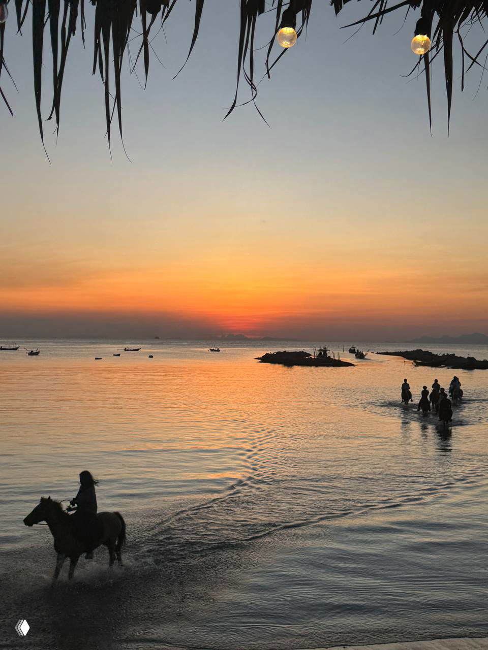 Широкий кадр пляжа на Самуи при закате: всадник в левой части кадра и группа людей на лошадях в мелкой воде, пальмовая крыша видна вверху кадра.