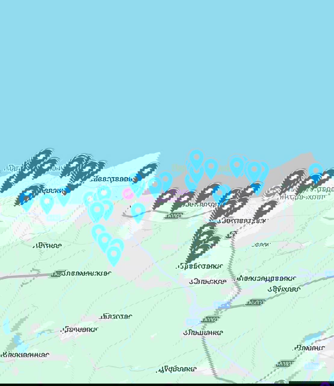 Карта Светлогорска и окрестностей с многочисленными маркерами — обзор локальных объектов новостроек и жилых комплексов