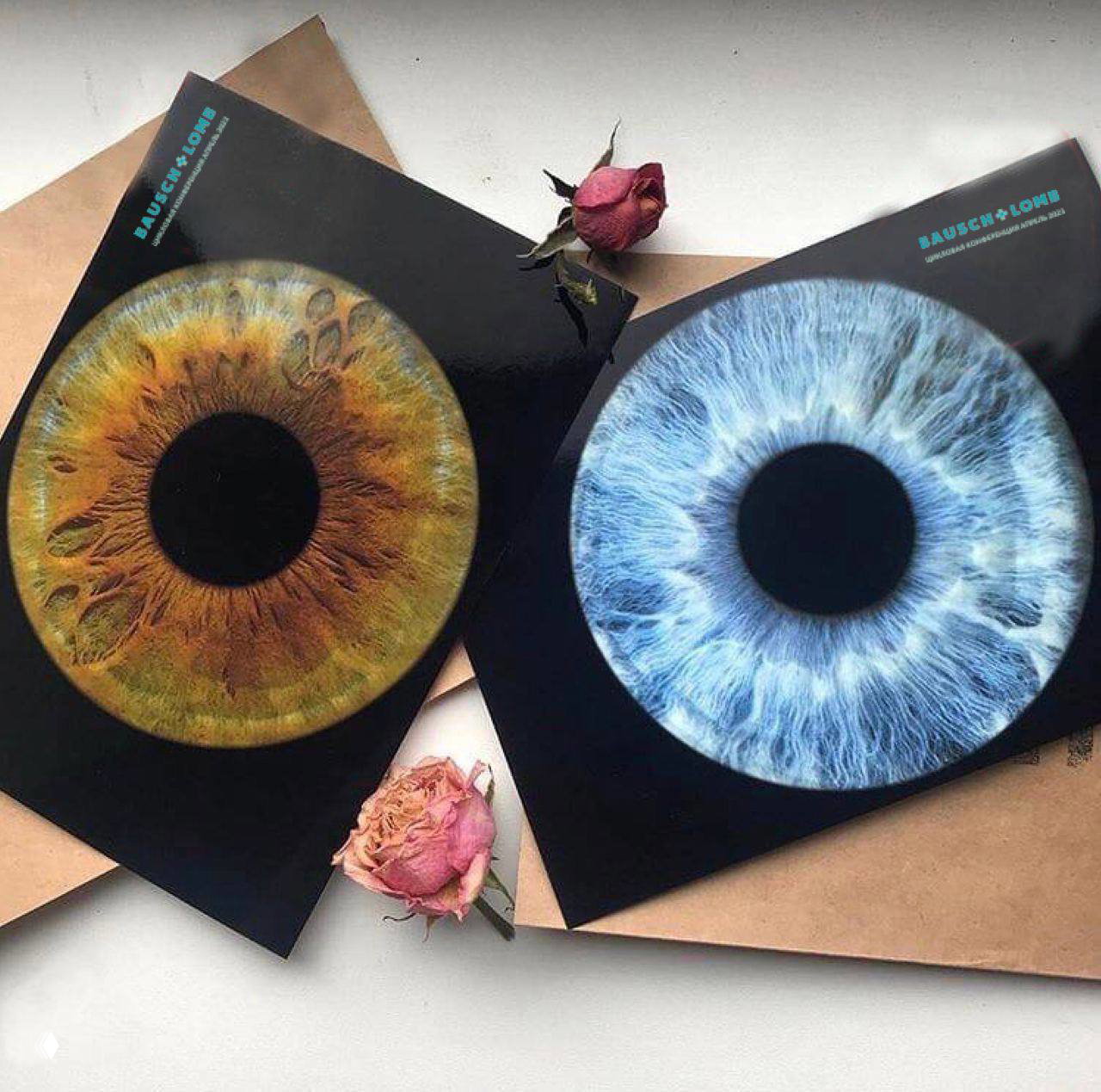 Фотозона «Радужка глаза» на мероприятиях