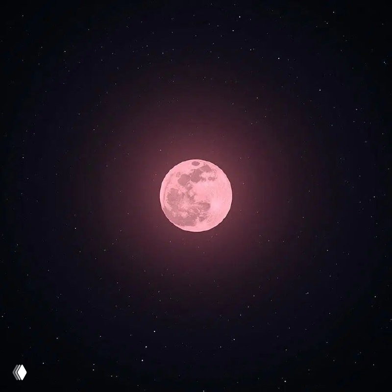 Что вас бесит больше всего? Полнолуние 🦊